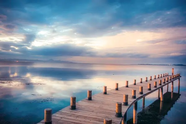 河南木业商贸公司排名前十